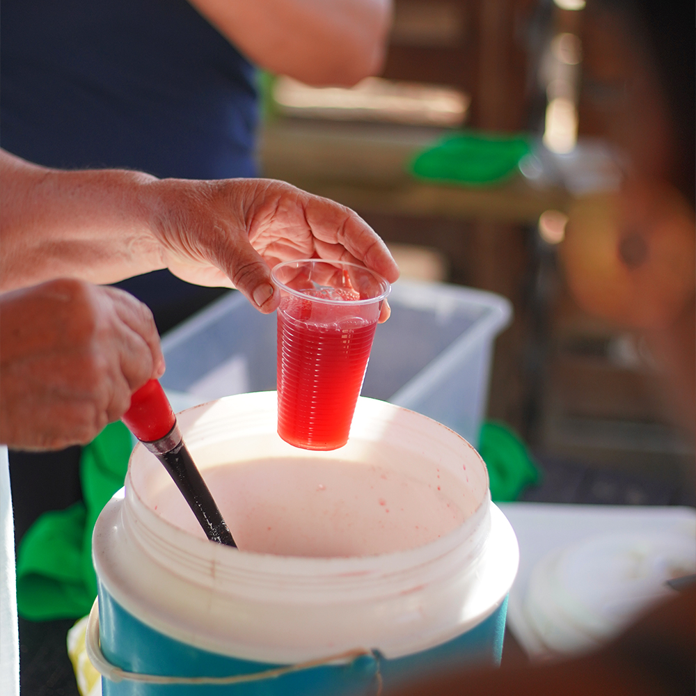 Jugo de corozo