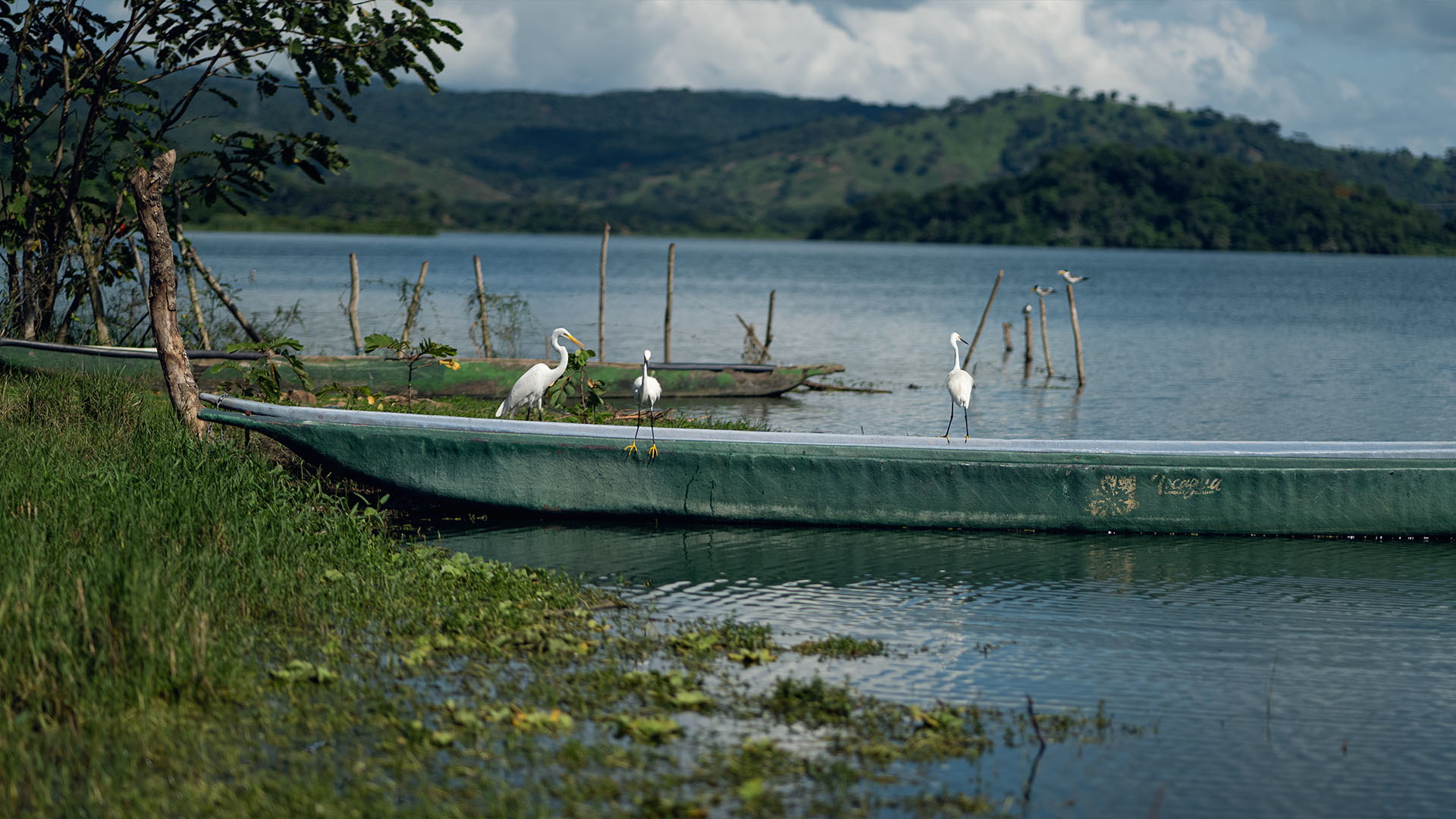 Imagen de tesorito